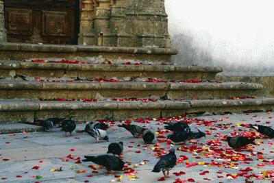 RTW0184  After a marriage ceremony