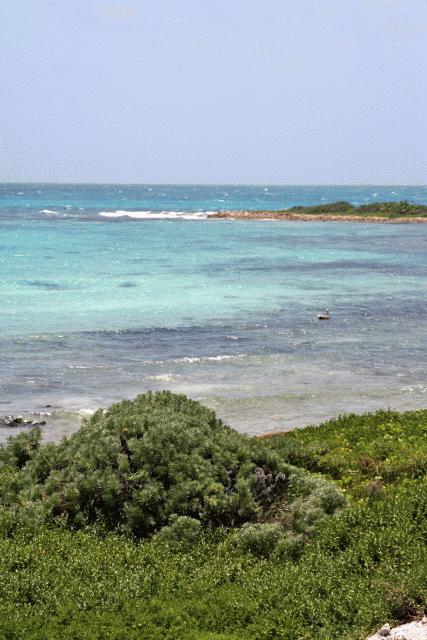 Northwest snorkel area at Laughing b