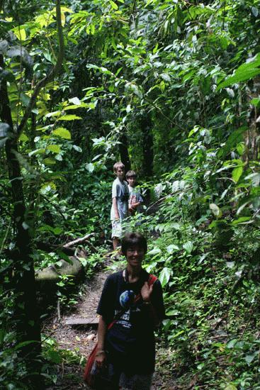 Hiking towards a waterfall in the tropical jungles of Manual Antonio