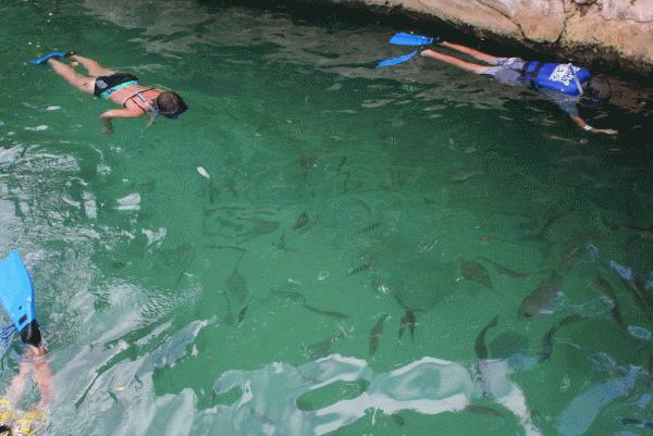 therese, peter and paul in a school of fish