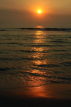 RTW0197  Bronze sunset
