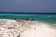 Laughing Bird Caye near Placencia, Belize.