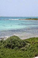 Northwest snorkel area at Laughing b