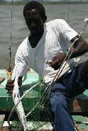 Danna wrestles with a barracuda!