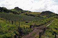 The rich, fertile farming area on the slopes of Volcan Irazu near Cartago.