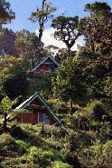 Serrano's cabins high in the Cerro del Meurte
