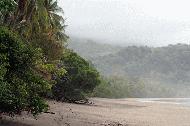 Pacific Coast, Costa Rica. Dry Tropical.