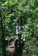 Hiking towards a waterfall in the tropical jungles of Manual Antonio