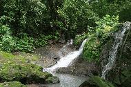 Upper falls in the jungle.