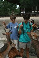 Therese and Peter encounter the deer of Nara