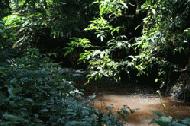 Crossing the many small streams in the Nam Ha. Checking for leeches became a prerequiste in this area