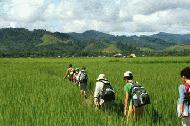 Our trek starts out in the rice fields near Luang Nam Tha. Our new