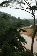Viewing Sungai Tahan from the canopy walk. We would take a boat ride up this river the next day to the waterfalls.