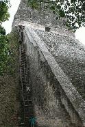 Peter starts his ascent of Templo V. Yes, that ladder is straight up and down. Peter has no fear.