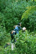 Peter, Paul and Jorge search the oak cloud forest for the resplendent quetzal.