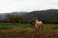 The horse corral at Miguel's farm. His farm has a 360 degree view. Magnificant!