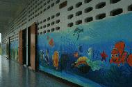 Noy owns 3 private schools with over 3,500 students. Here is her newest school designed by Ton featuring Captian Nemo artwork.
