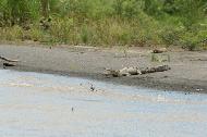 Where is Crocodile Dundee?